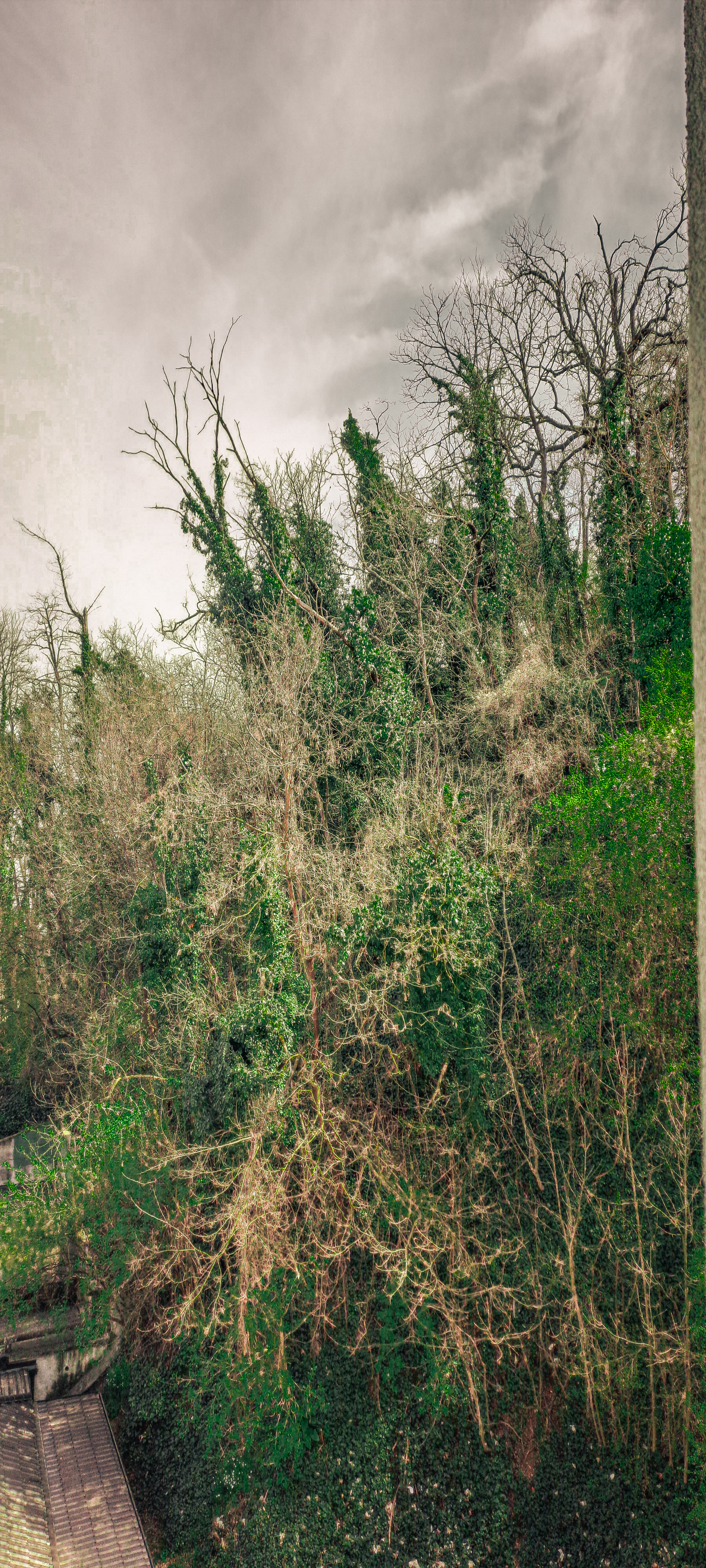 Nature